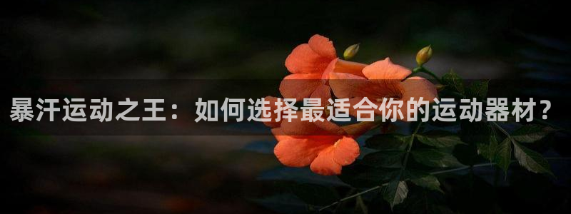 yy易游体育官方正版app娱乐首页网站大全：暴汗运动