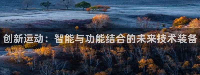 yy易游体育官网下载招商电话地址：创新运动：智能与功