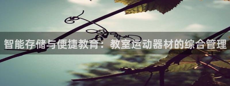 yy易游体育官方正版app五金厂：智能存储与便捷教育