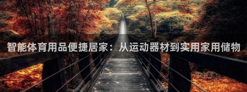 yy易游体育官网下载招商电话：智能体育用品便捷居家：