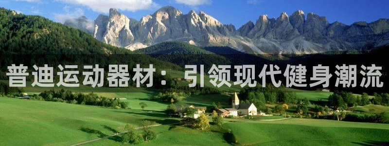 yy易游体育官网下载平台注册流程图：普迪运动器材：引