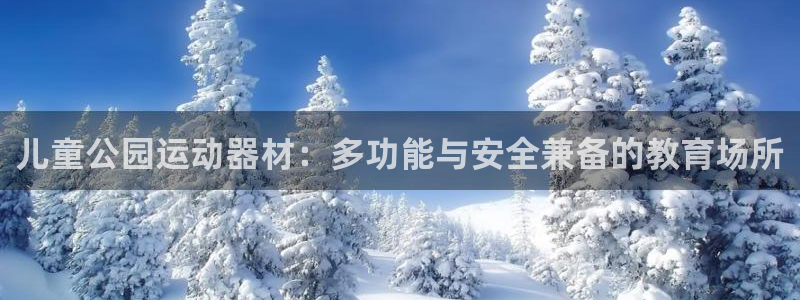 yy易游体育官网下载平台注册流程视频：儿童公园运动器