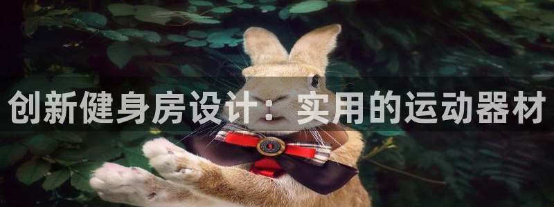 yy易游体育官方正版app五金厂：创新健身房设计：实用的运动