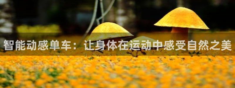 yy易游体育官网下载平台注册要钱吗是真的吗：智能动感单车：让