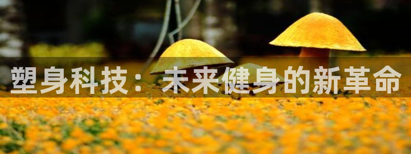 yy易游体育官网下载官方客服电话