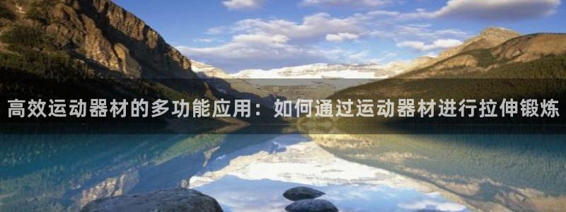 yy易游体育官方正版app娱乐下载：高效运动器材的多功能应用