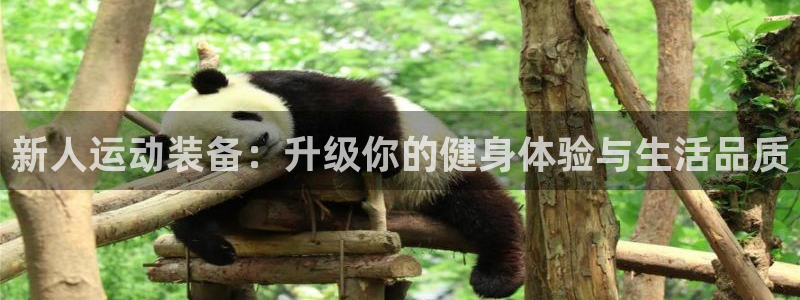 yy易游体育官网下载平台注册要钱吗安全吗：新人运动装备：升级