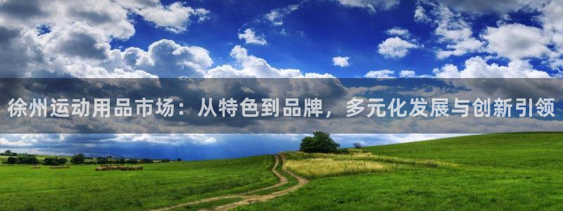 yy易游体育官网下载招商电话地址查询：徐州运动用品市场：从特